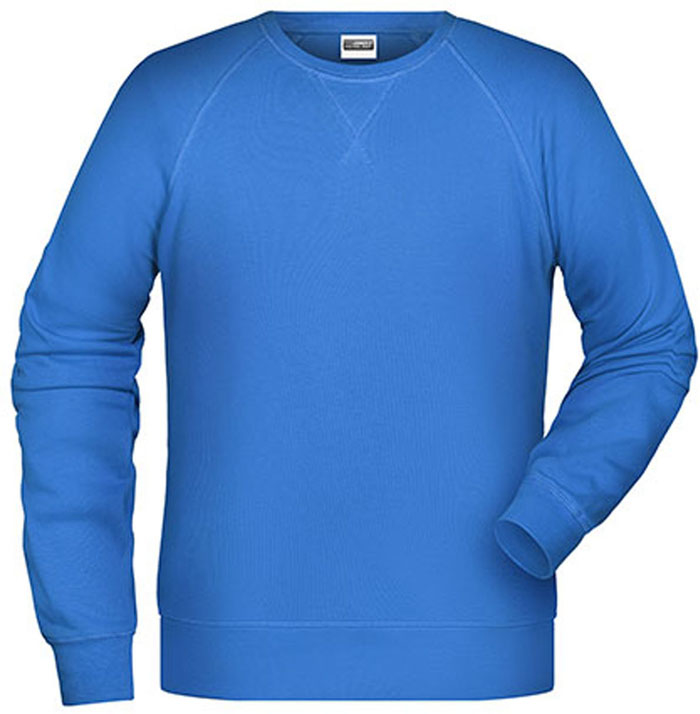 Herren Bio-Sweatshirt