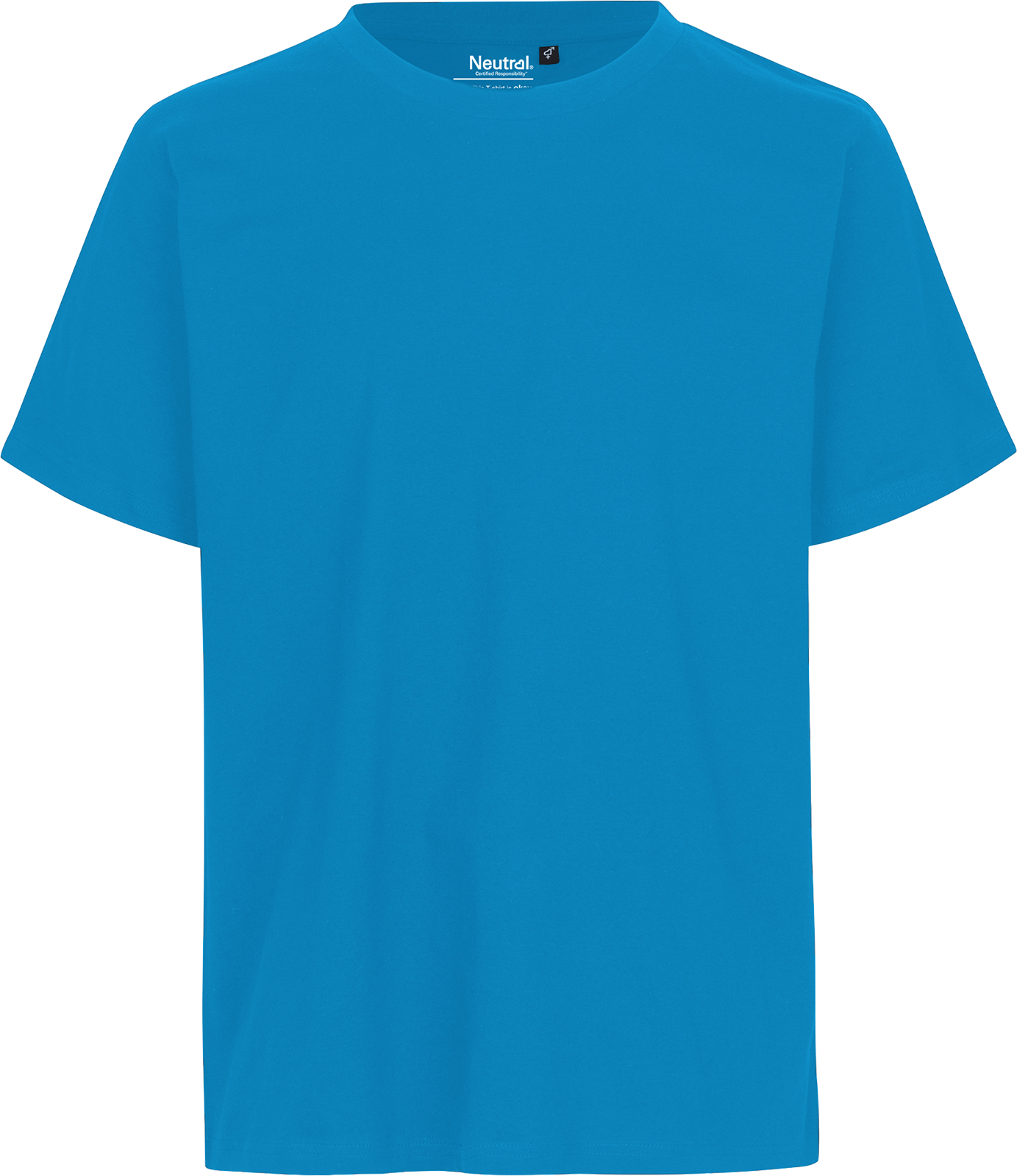 Unisex Regular T-Shirt