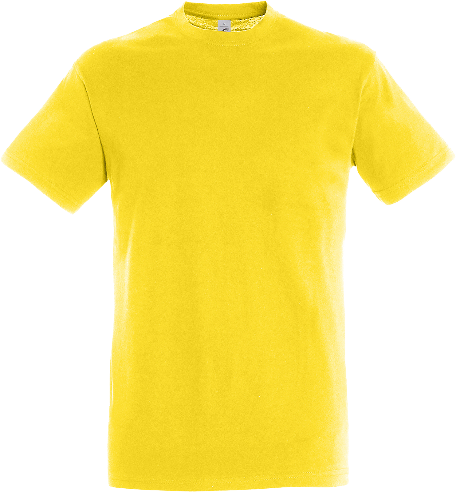 Regent T-Shirt 150