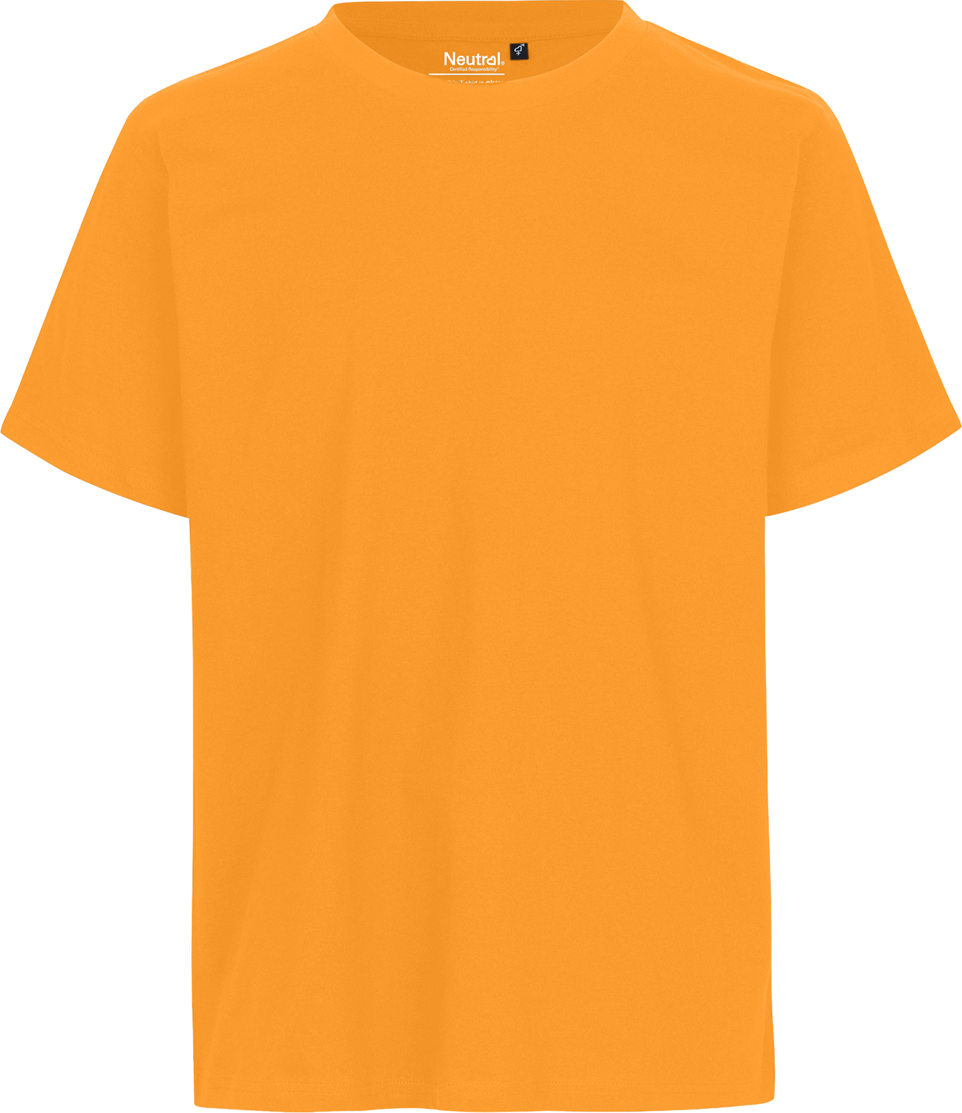 Unisex Regular T-Shirt