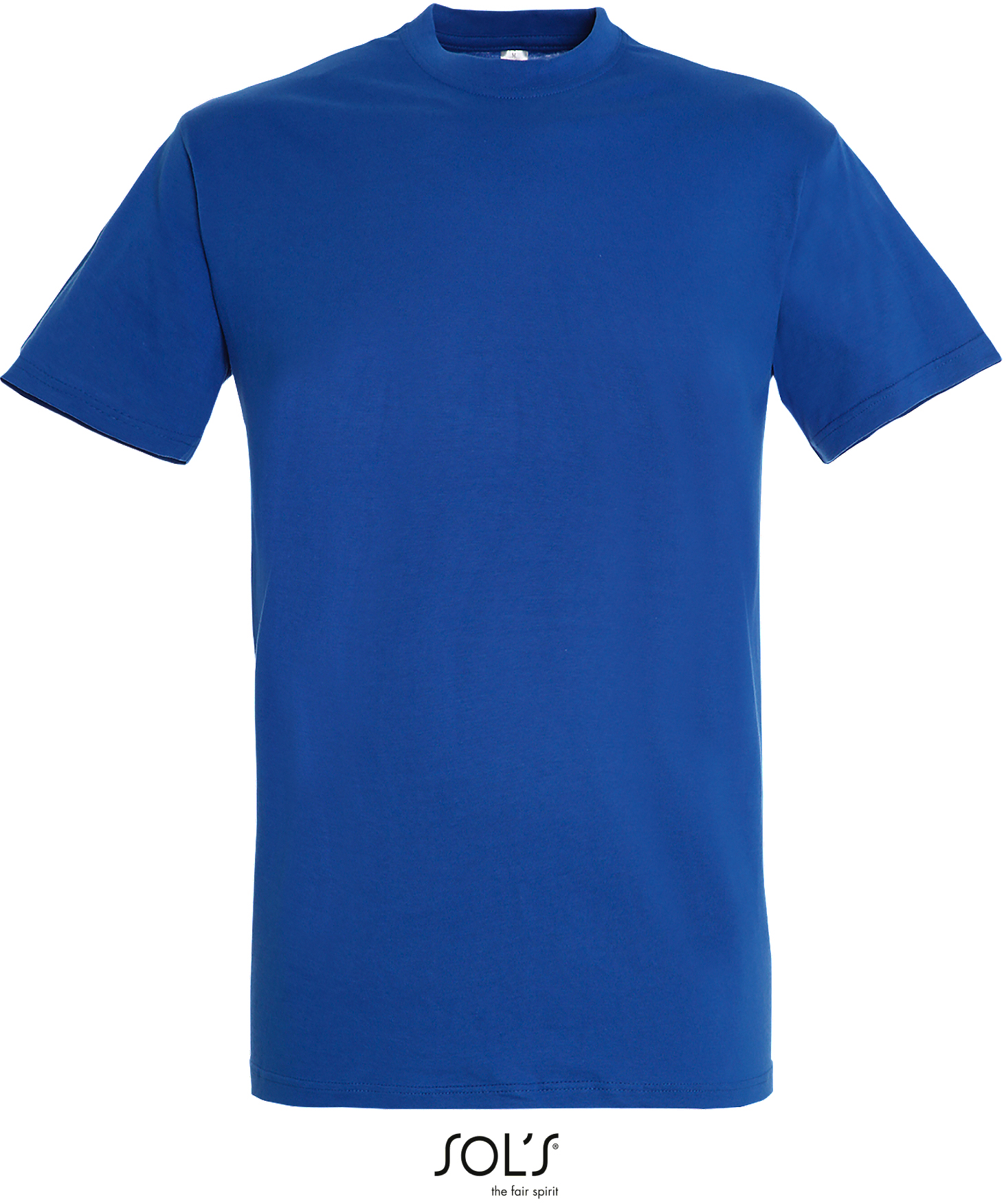 Basic Herren-T-Shirt "Regent"