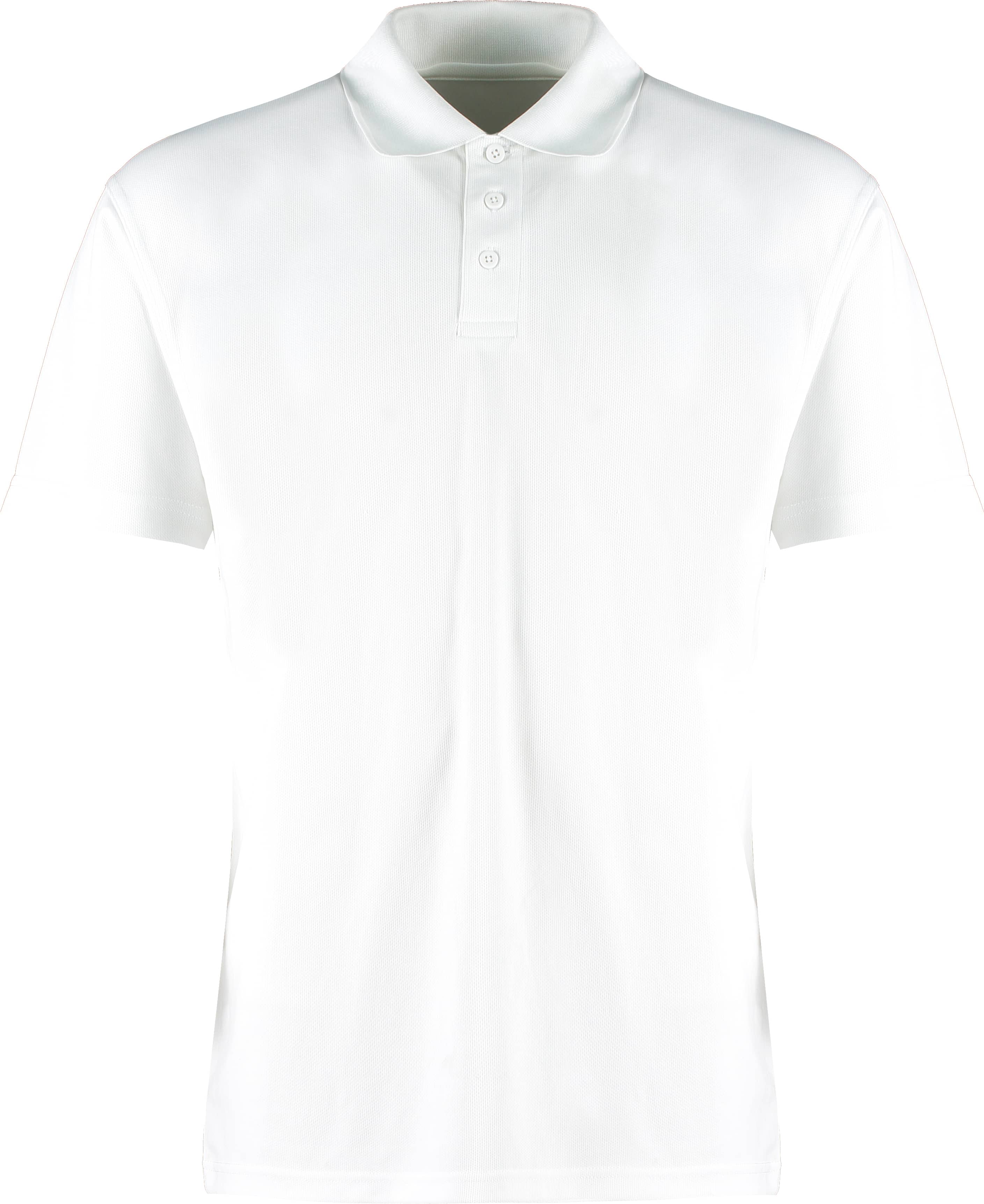 Regular Fit Micro Mesh Polo with Cooltex® Plus