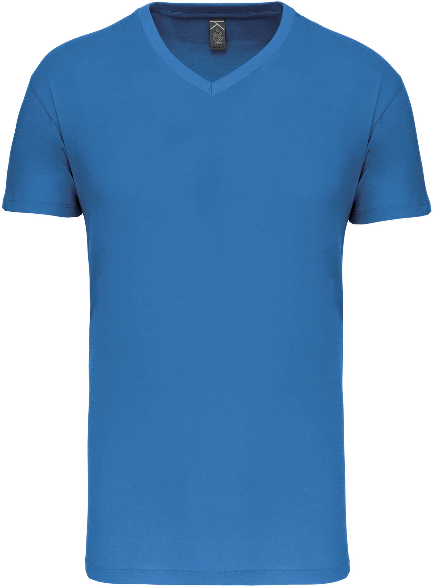 Herren-T-Shirt Bio150IC mit V-Ausschnitt