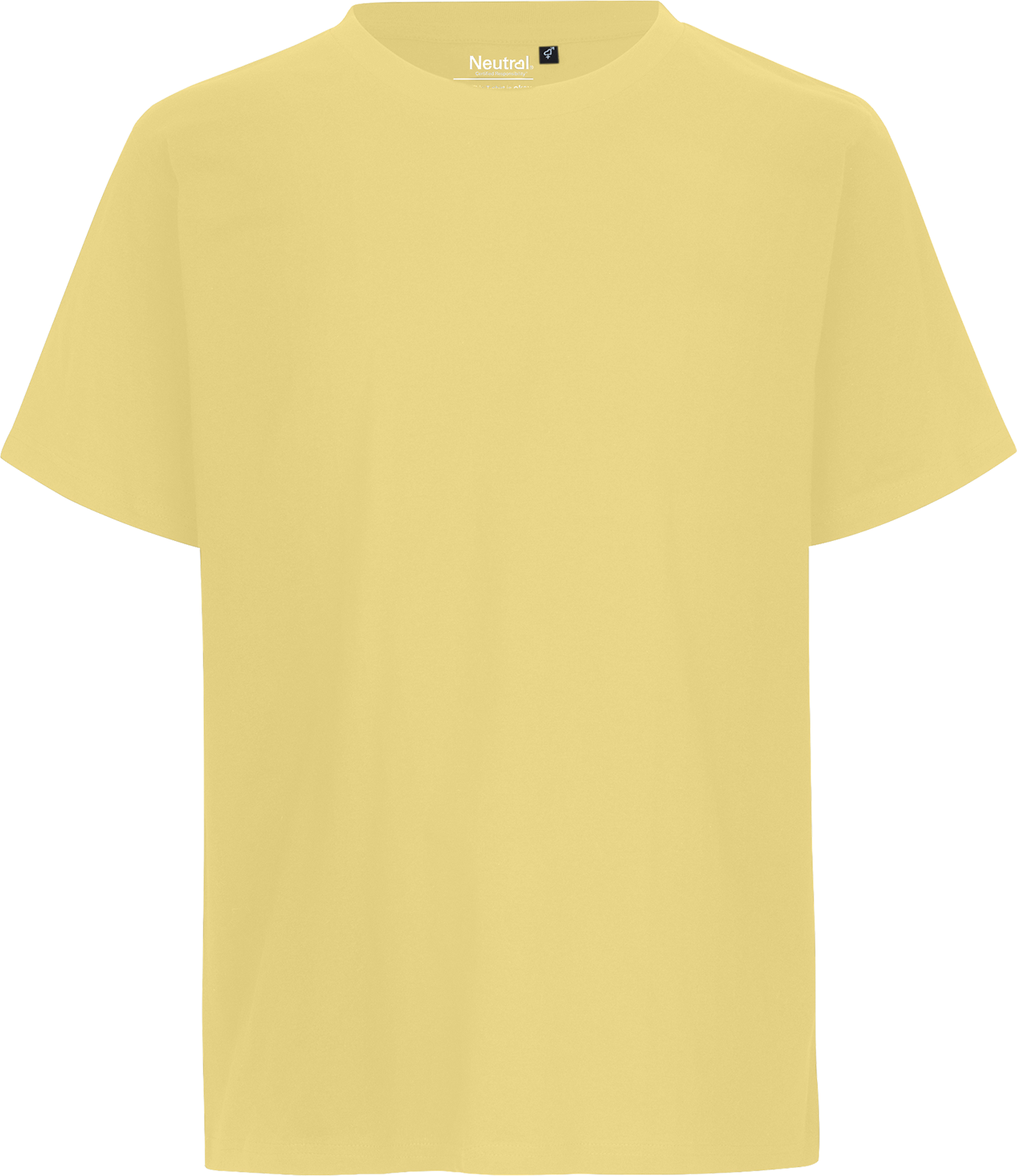 Unisex Regular T-Shirt