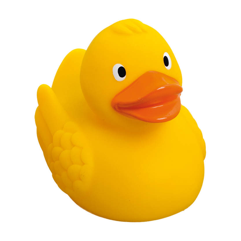 Schnabels® Renn-Ente mit Metallplatte