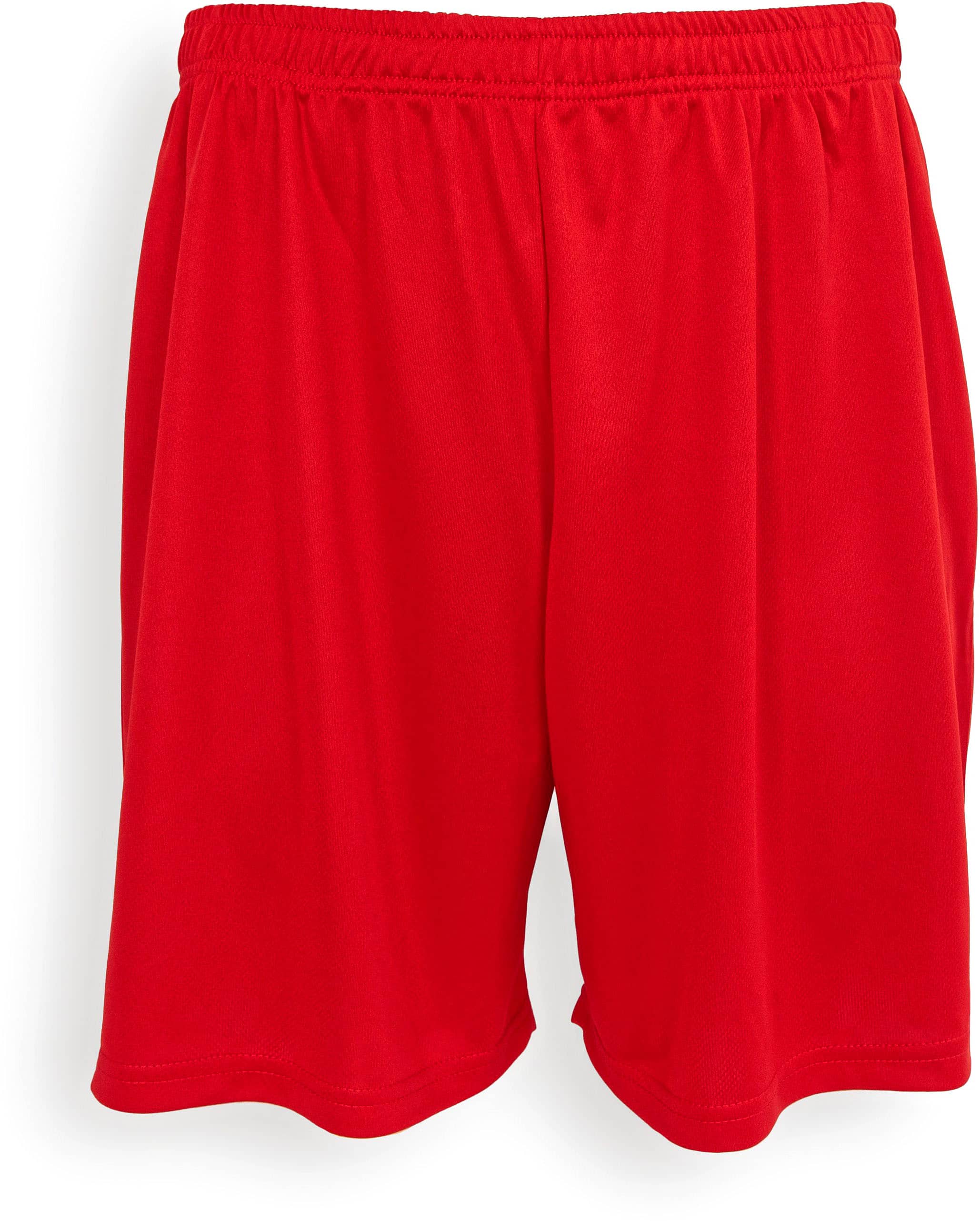 Kids Evolution Shorts