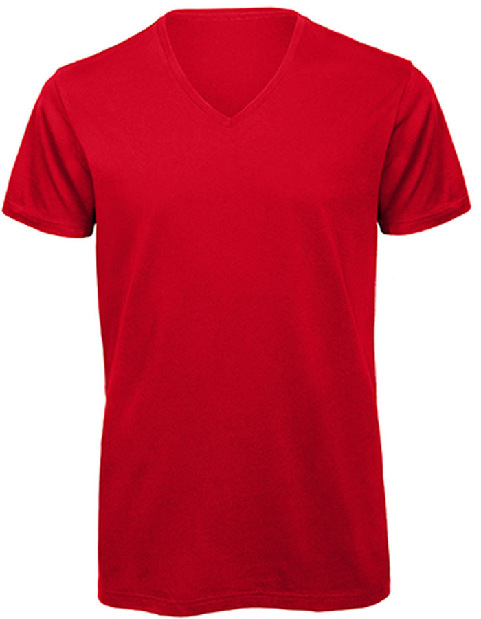 Klassisches V-Neck Herren Bio T-Shirt "Inspire"
