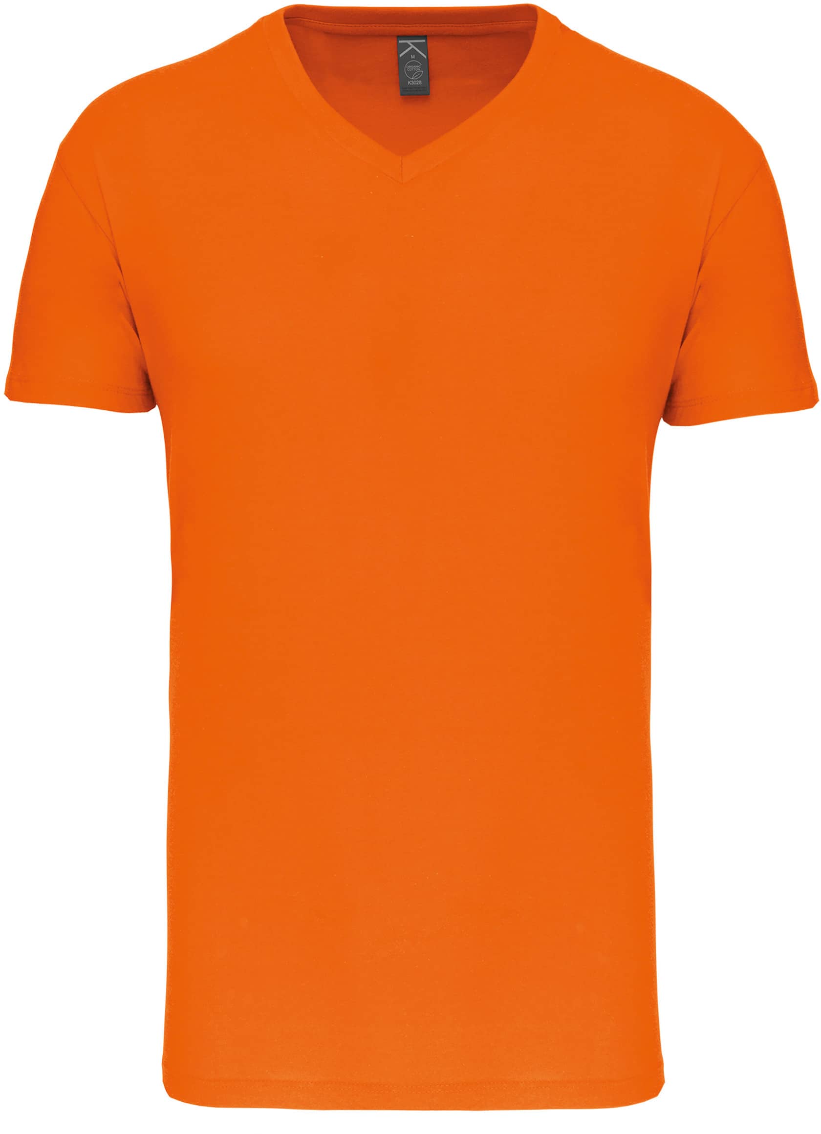 Herren-T-Shirt Bio150IC mit V-Ausschnitt