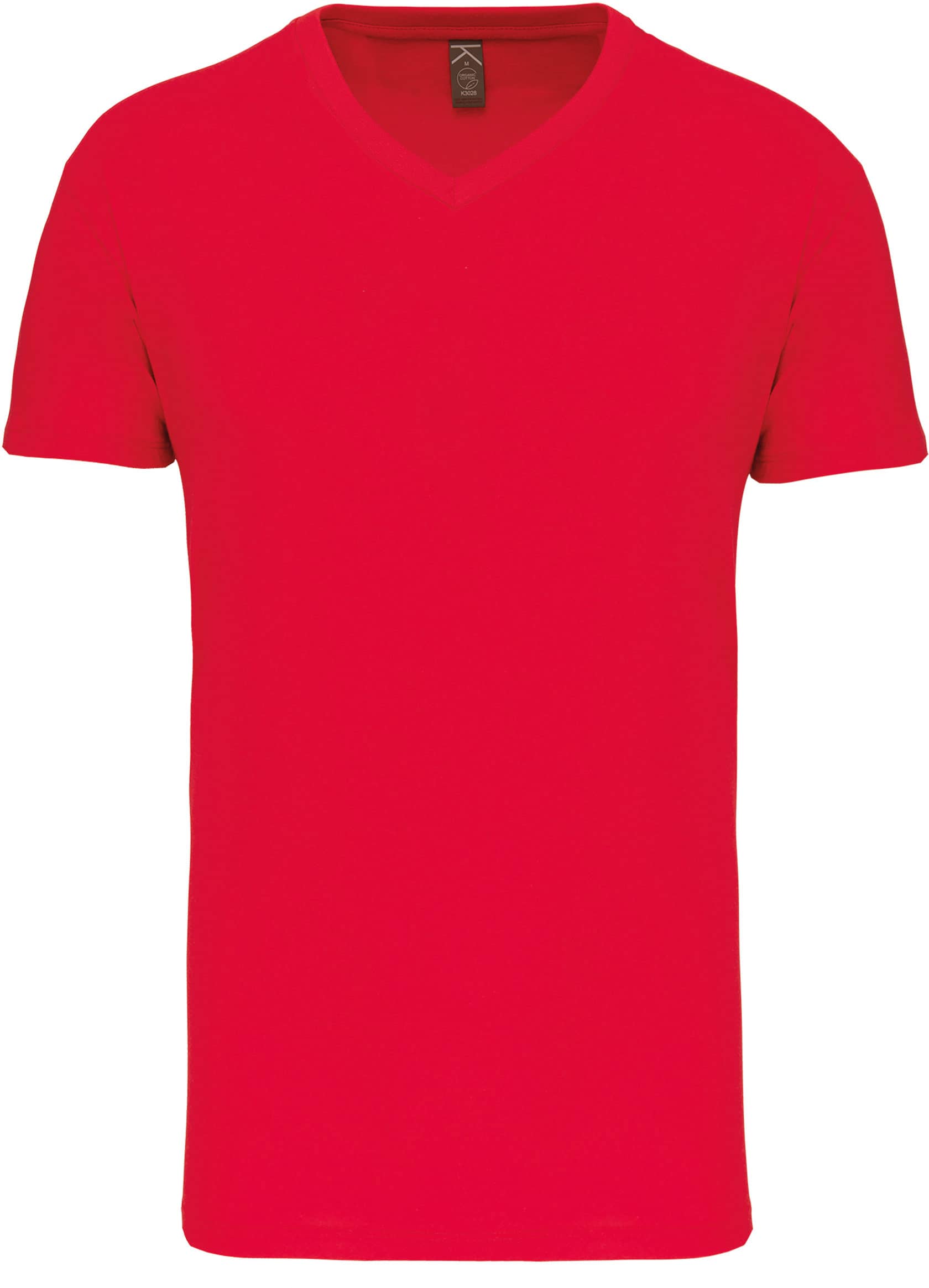 Herren-T-Shirt Bio150IC mit V-Ausschnitt