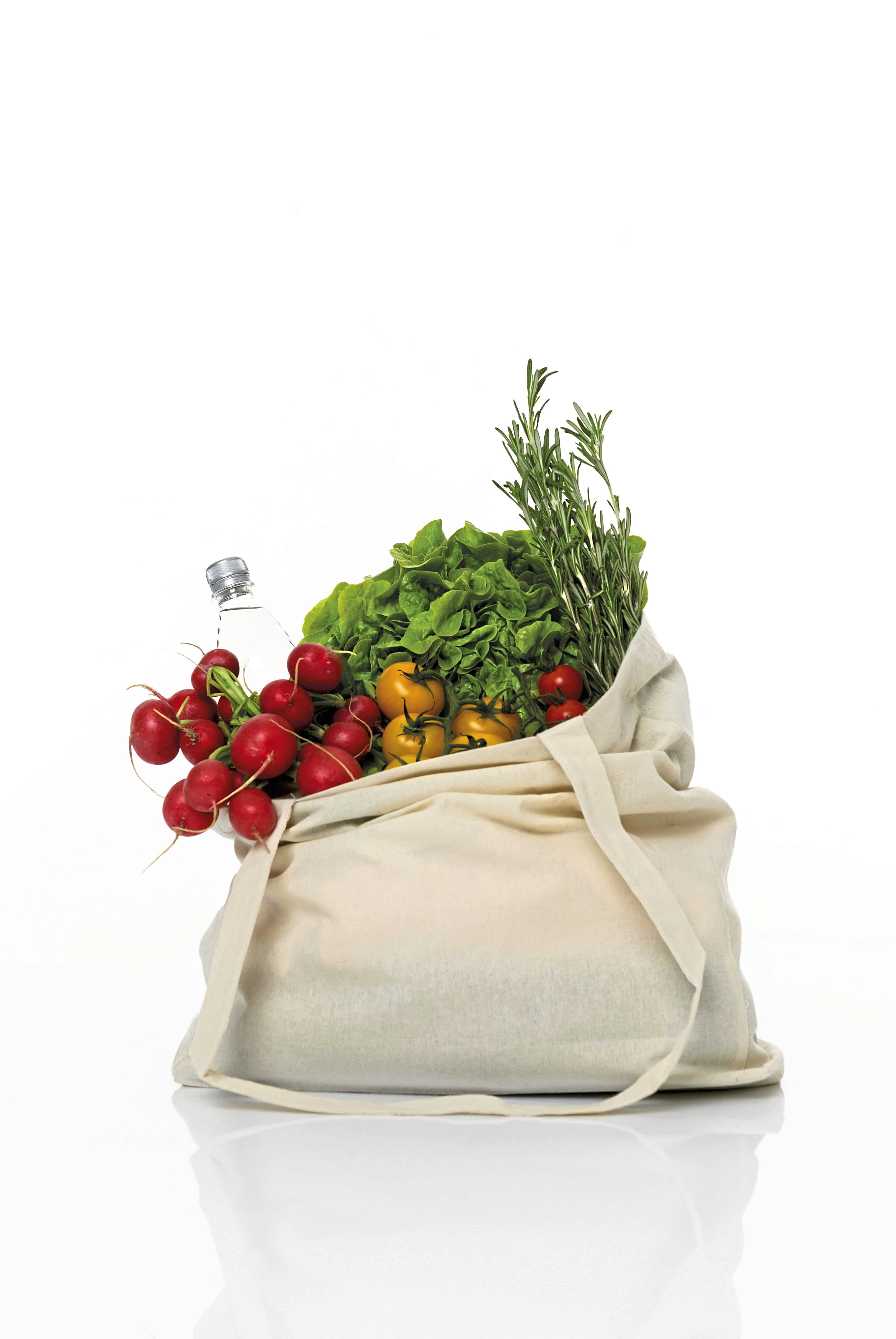 Cotton Bag Side Fold Long Handles