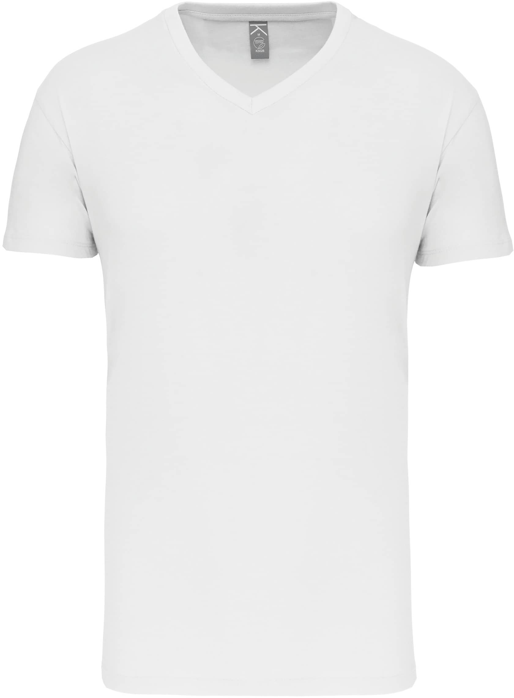 Herren-T-Shirt Bio150IC mit V-Ausschnitt