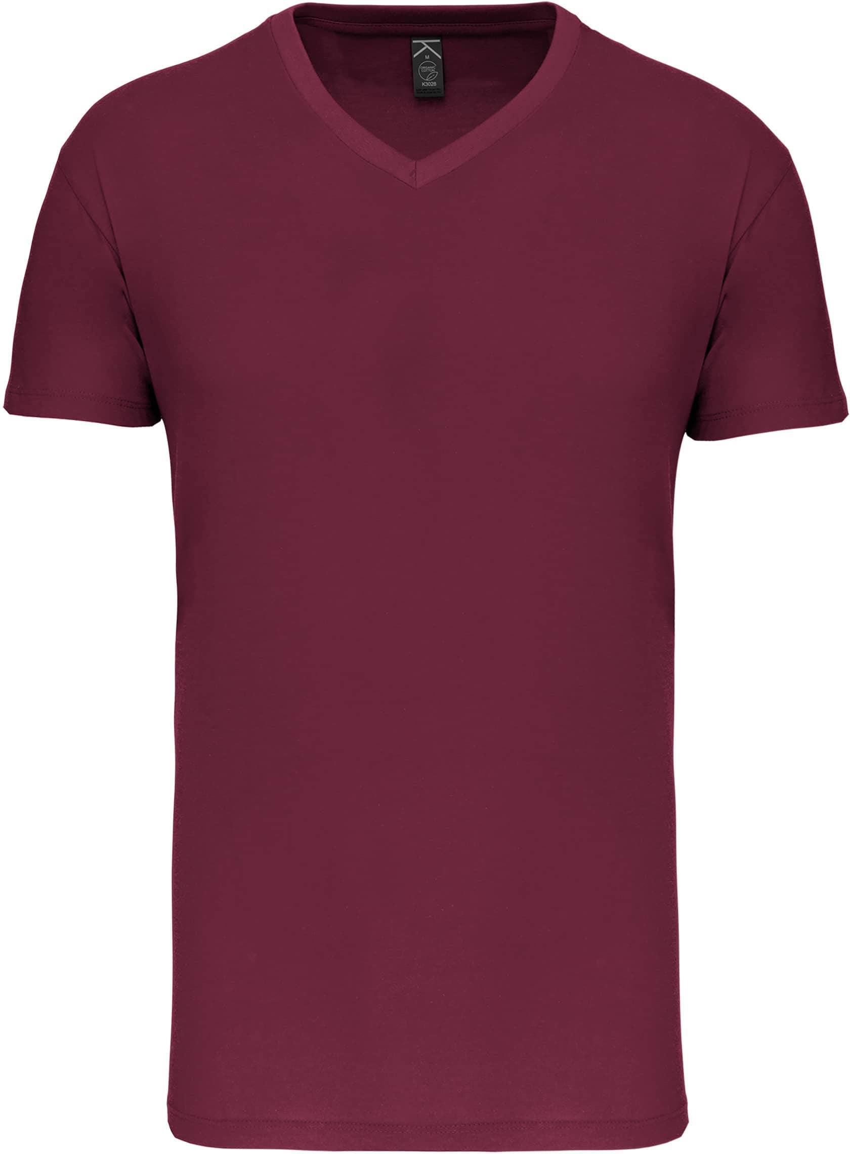 Herren-T-Shirt Bio150IC mit V-Ausschnitt