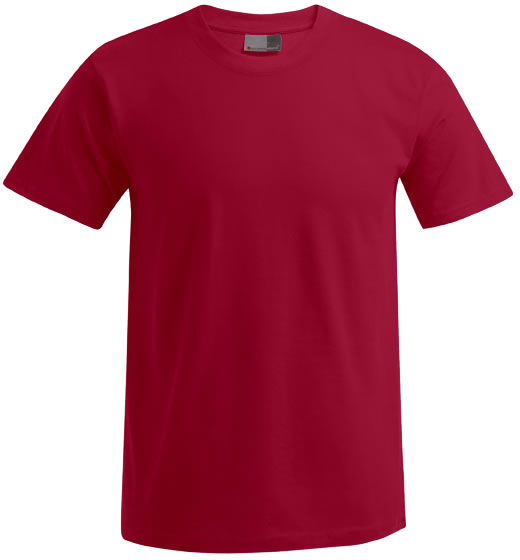 Men´s Premium-T
